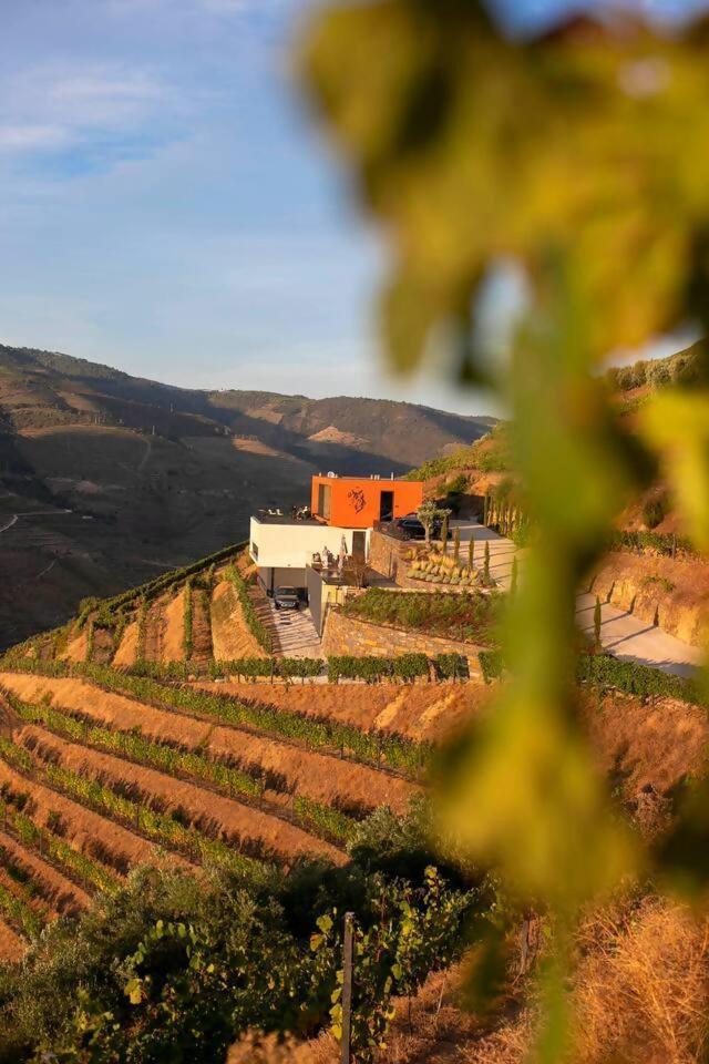 Quinta Vale De Lobos Folgosa (Armamar) Exterior foto