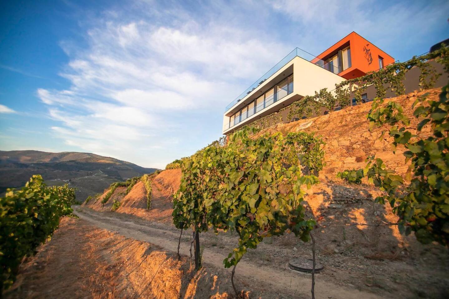 Quinta Vale De Lobos Folgosa (Armamar) Exterior foto
