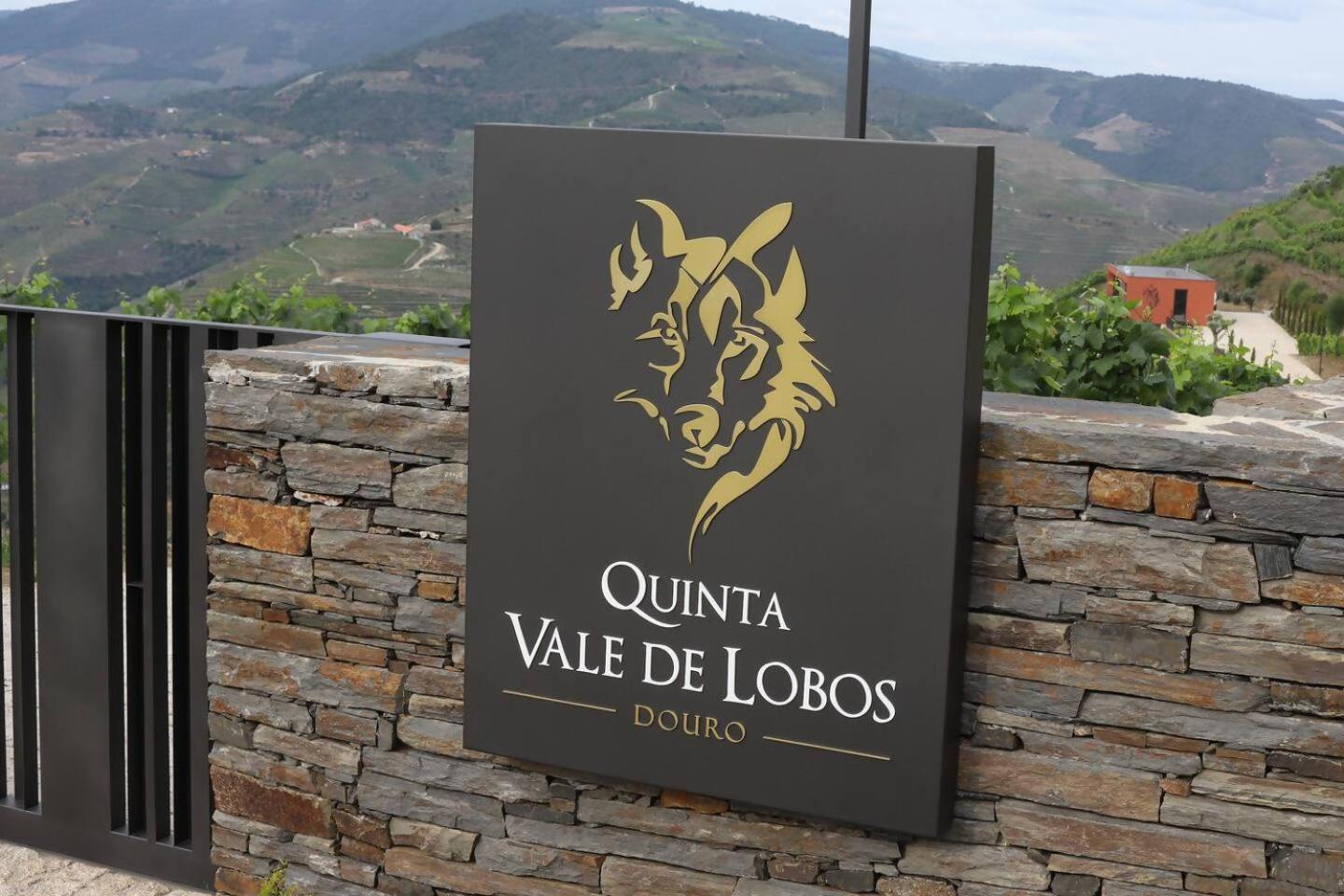 Quinta Vale De Lobos Folgosa (Armamar) Exterior foto